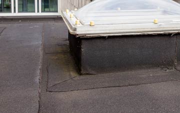 disadvantages of Eskragh flat roofs