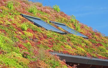 Eskragh living roof systems