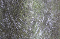 Eskragh fibreglass roof work